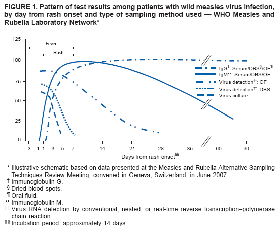 FIGURE 1. Pattern of test results among patients with wild measles virus infection, by day from rash onset and type of sampling method used � WHO Measles and
Rubella Laboratory Network*