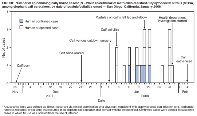 FIGURE. Number of epidemiologically linked cases* (N = 20) in an outbreak of methicillin-resistant Staphylococcus aureus (MRSA) among elephant calf caretakers, by date of pustule/cellulitis onset � San Diego, California, January 2008