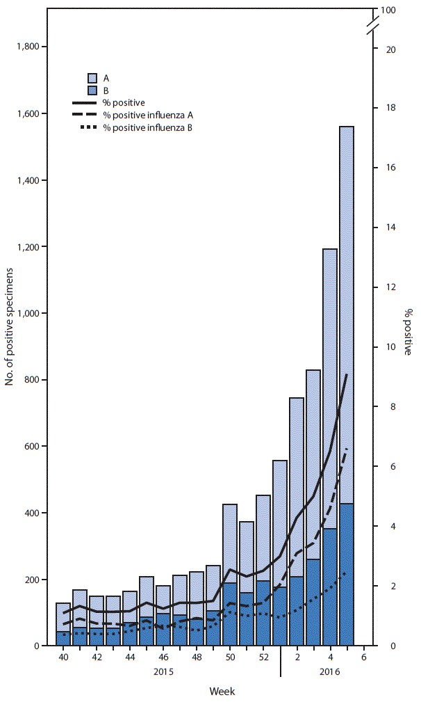 The figure above is a bar chart showing the number and percentage of respiratory specimens testing positive for influenza reported by clinical laboratories, by influenza virus type and surveillance week, in the United States during October 4, 2015&ndash;February 6, 2016.