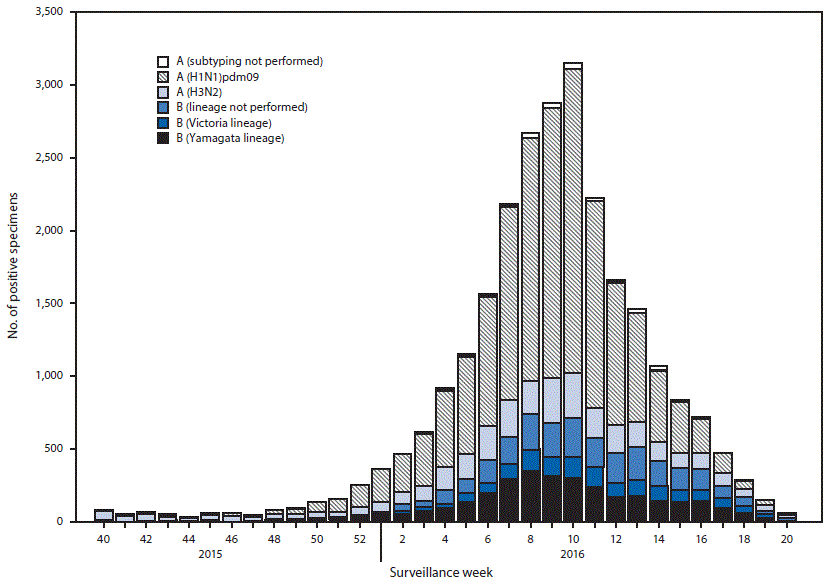 The figure above is a histogram showing the number of tests positive for influenza reported to CDC by public health laboratories, by virus subtype/lineage and surveillance week, in the United States during the 2015&ndash;16 influenza season.
