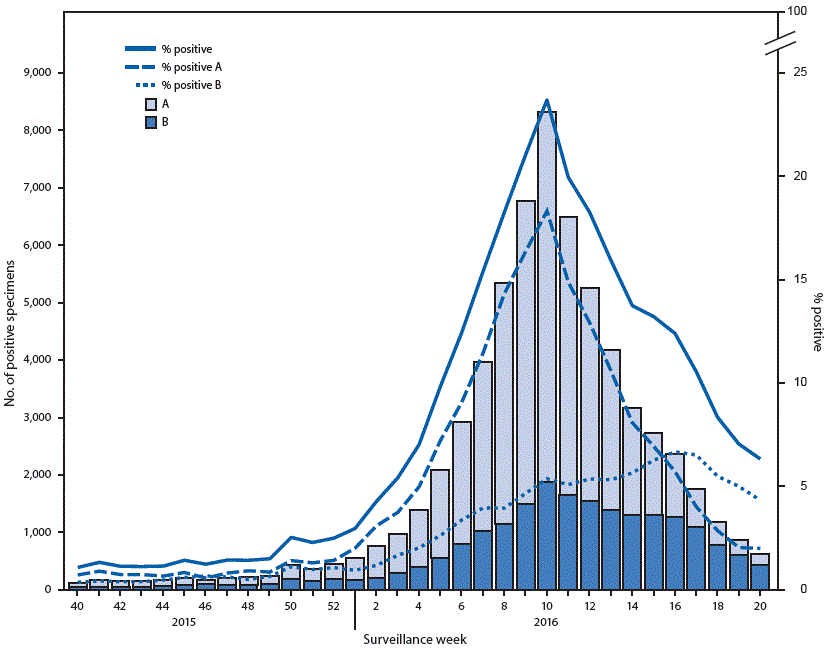 The figure above is a histogram showing the number and percentage of respiratory specimens testing positive for influenza reported by clinical laboratories, by type and surveillance week, in the United States during the 2015&ndash;16 influenza season.