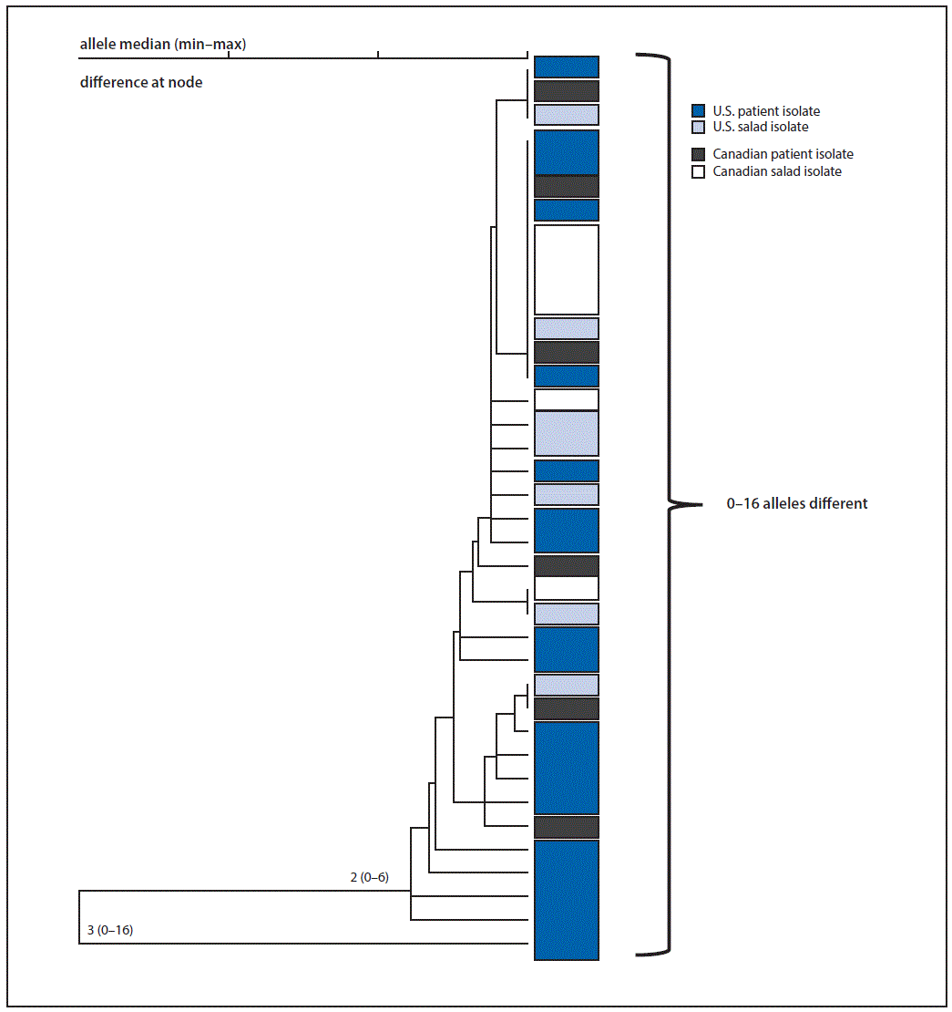 The figure above is a phylogenetic tree by whole-genome multilocus sequence typing of Listeria monocytogenes isolates from patients and salad products with indistinguishable pulsed-field gel electrophoresis patterns in the United States and Canada during July 5, 2015&ndash;January 31, 2016.