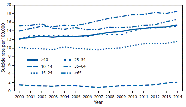 The figure above is a line chart showing suicide rates per 100,000 persons, by age group, in the United States during 2000&ndash;2014.