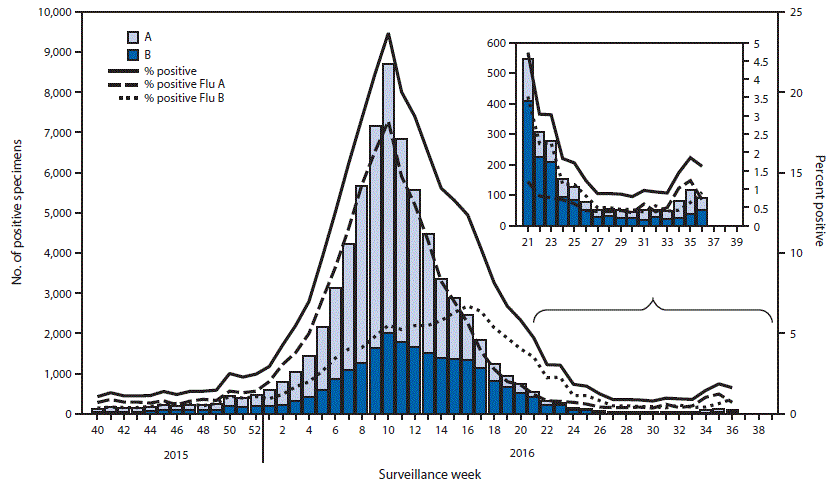 The figure above is a combination histogram and line graph showing the number and percentage of respiratory specimens testing positive for influenza reported by clinical laboratories, by type and week, in the United States during October 4, 2015&acirc;September 10, 2016.