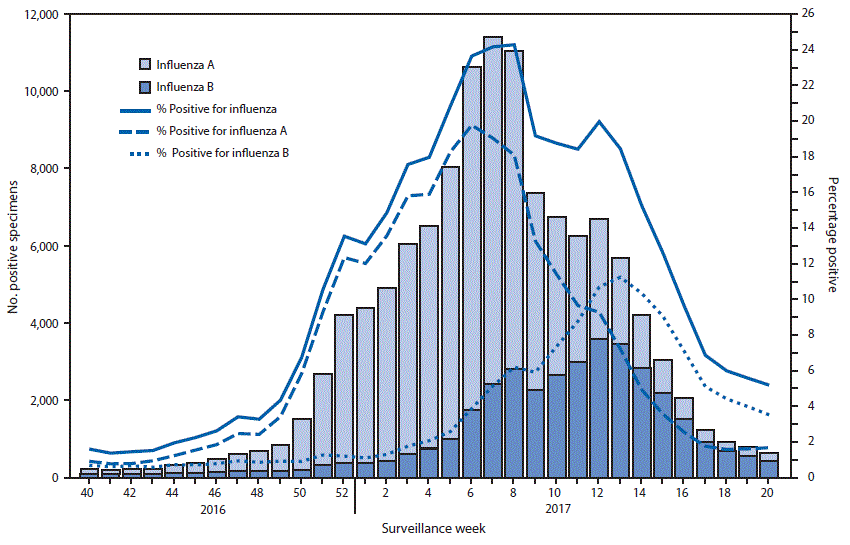 The figure above is a combination line and bar chart showing the number and percentage of respiratory specimens testing positive for influenza reported by clinical laboratories in the United States during October 2, 2016&ndash;May 20, 2017, by influenza virus type and surveillance week.
