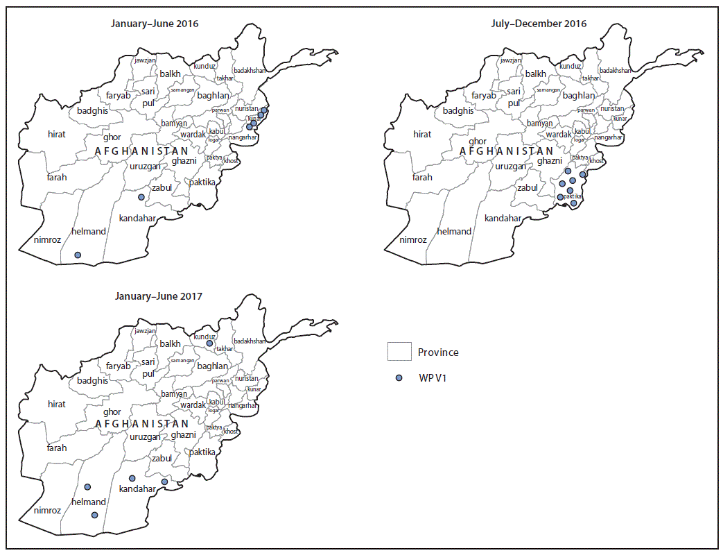 The figure above is a map showing the location of cases of wild poliovirus type 1 (WPV1), by province, in Afghanistan during January 2016&ndash;June 2017.