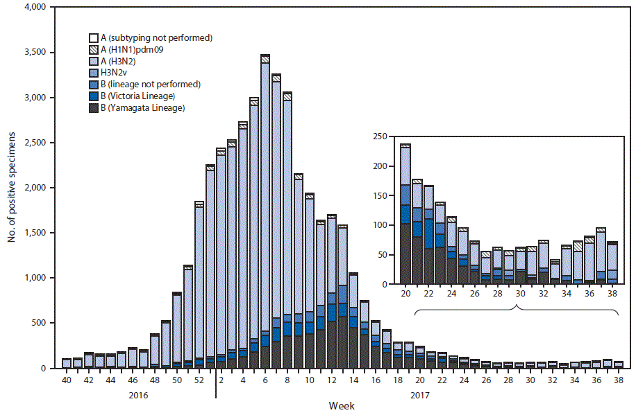 The figure above is a bar chart showing the number of respiratory specimens testing positive for influenza reported by public health laboratories, by influenza virus type, subtype/lineage, and surveillance week in the United States during October 2, 2016&ndash;September 23, 2017.