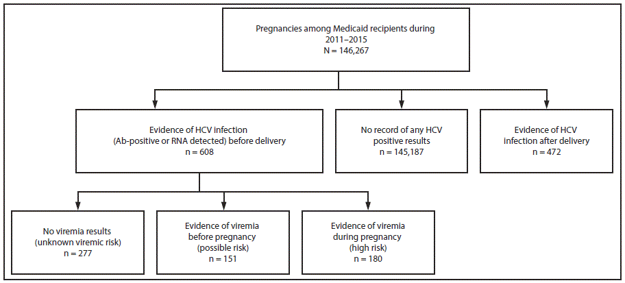The figure above is a diagram showing a classification of vertical transmission risk based on hepatitis C virus infection status among Medicaid recipients in Wisconsin during 2011&ndash;2015.