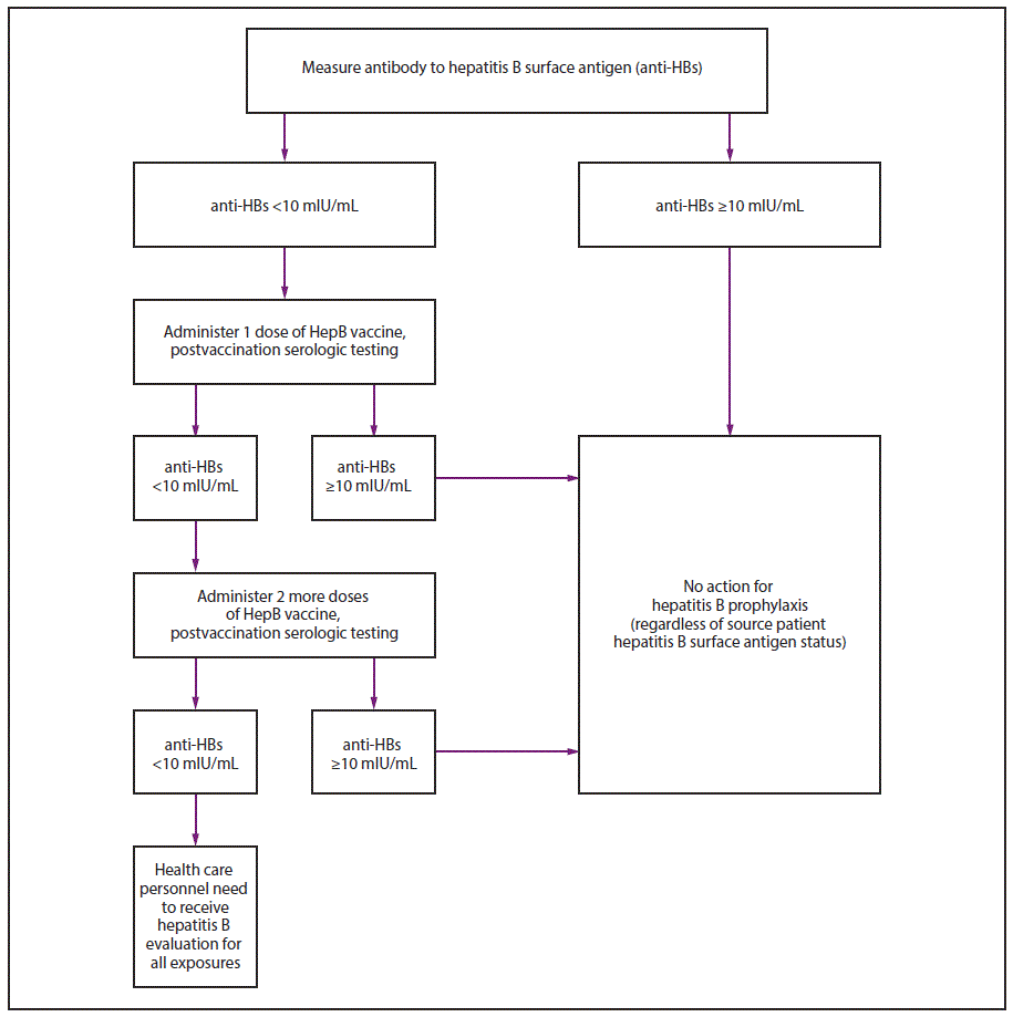 The figure above shows an algorithm depicting the procedure for conducting pre-exposure evaluation for health care personnel previously vaccinated with complete, greater than or equal to 3-dose hepatitis B vaccine series who have not had postvaccination serologic testing. Such testing should be performed 1&ndash;2 months after the last dose of vaccine using a quantitative method that allows detection of the protective concentration of anti-HBs (&ge;10 mIU/mL) (e.g., enzyme-linked immunosorbent assay [ELISA]).