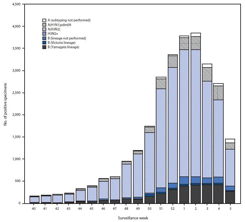 The figure above is a bar chart showing the number of respiratory specimens testing positive for influenza reported by public health laboratories, by influenza virus type, subtype/lineage, and surveillance week, in the United States during October 1, 2017&ndash;February 3, 2018.