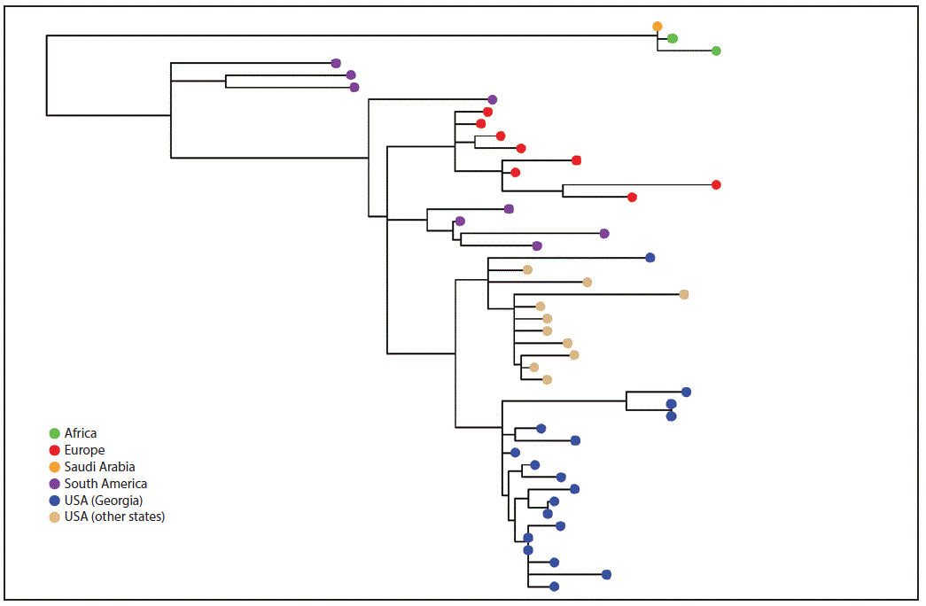 The figure above is phylogenetic tree showing the whole genome maximum likelihood phylogeny of N. meningitidis serogroup W clonal complex 11 isolates from Georgia, other U.S. states, Europe, Africa, and South America during 2006&ndash;2016.