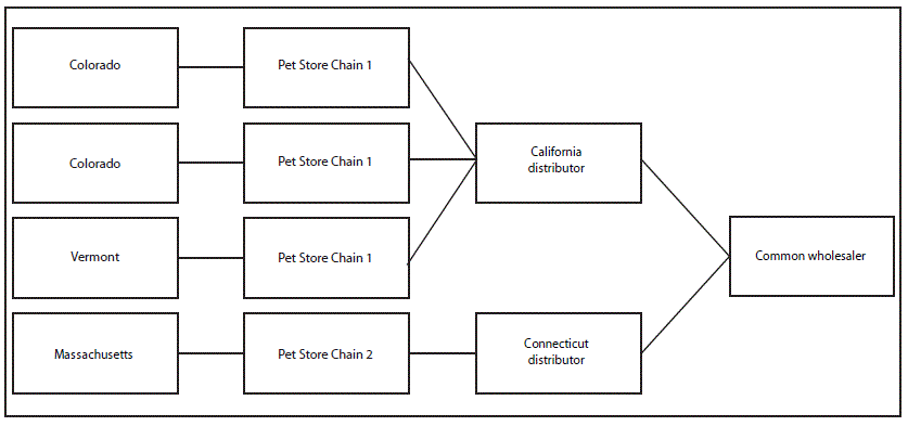 The figure is a flow chart showing the traceback of guinea pigs associated with human salmonellosis from patient to distributor of origin (n = 4) in three states during 2015&ndash;2017.