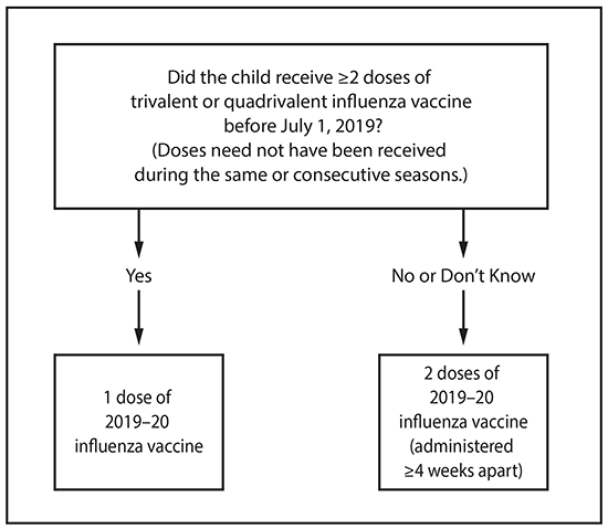 This figure is a flow chart describing the influenza vaccine dosing algorithm for children aged 6 months through 8 years for the 2019&ndash;20 influenza season in the United States. If the child has received 2 or more doses of trivalent or quadrivalent influenza vaccine before July 1, 2019 (doses need not have been given during same or consecutive seasons), the child should receive 1 dose of 2019&ndash;20 influenza vaccine. If the child has not received 2 or more doses of trivalent or quadrivalent influenza vaccine before July 1, 2019, or if it is not known whether the child has received vaccine, the child should receive 2 doses of 2019&ndash;20 influenza vaccine (administered 4 or more weeks apart). For children aged 8 years who require 2 doses of vaccine, both doses should be administered even if the child turns age 9 years between receipt of dose 1 and dose 2.