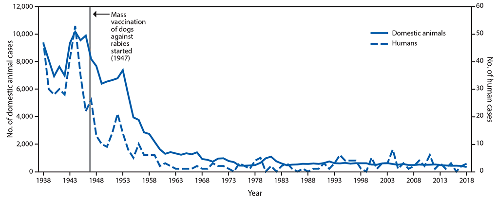 The figure is a line graph showing the number of rabies cases in humans and domestic animals in the United States during 1938&ndash;2018.