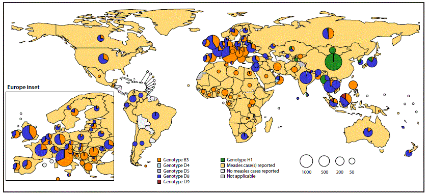 The figure is a map showing global distribution of measles virus genotypes during 2016&ndash;2018.