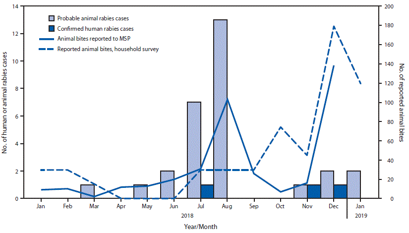 The figure is a combination bar chart and line graph showing the number of confirmed human rabies cases and probable animal rabies cases and reported animal bites in Pedernales, Dominican Republic, during January 2018&ndash;January 2019.
