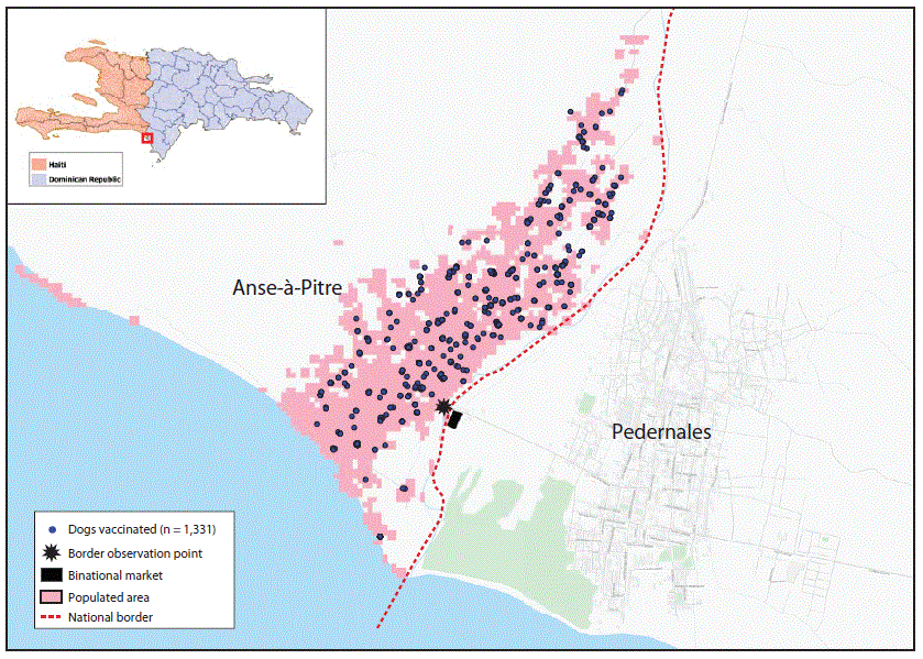 The figure is a map showing the border towns of Anse-&agrave;-Pitre, Haiti, and Pedernales, Dominican Republic, with locations of 1,331 dogs vaccinated for rabies during 2019 and the binational market and observation point used during the rabies response investigation.