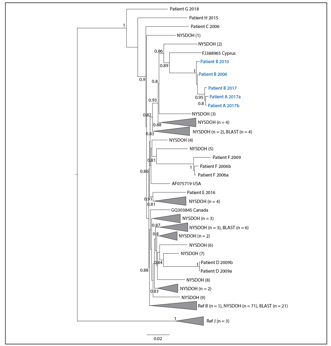 The figure is a phylogenetic tree showing high confidence that HIV sequences for patients A and B were related, indicating presumptive health care&ndash;associated transmission.