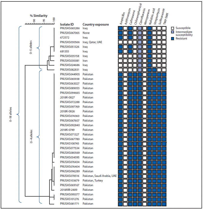 The figure is a core genome multilocus sequence typing phylogenetic tree of 39 Salmonella Typhi isolates from two strains with ceftriaxone resistance among persons with travel to Iran, Iraq, and Pakistan in the United States and United Kingdom during 2017&ndash;2019.