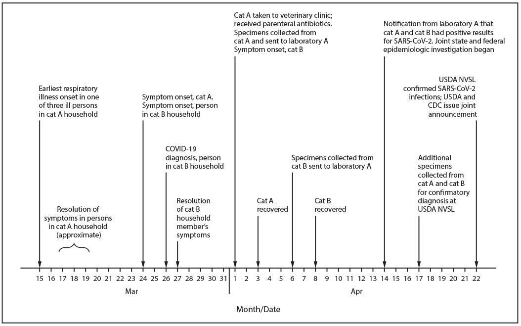The figure is a timeline showing events related to SARS-CoV-2 infections in two domestic cats kept as pets in two different households in New York during March 15&ndash;April 22, 2020.