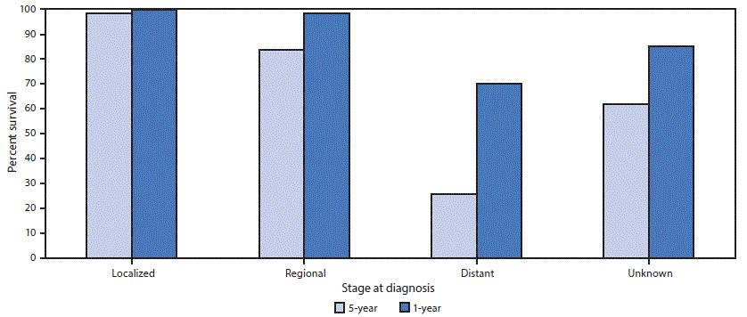 The figure is a bar graph showing male breast cancer relative 1-year and 5-year survival, by stage at diagnosis, in the United States, during 2007&ndash;2016.