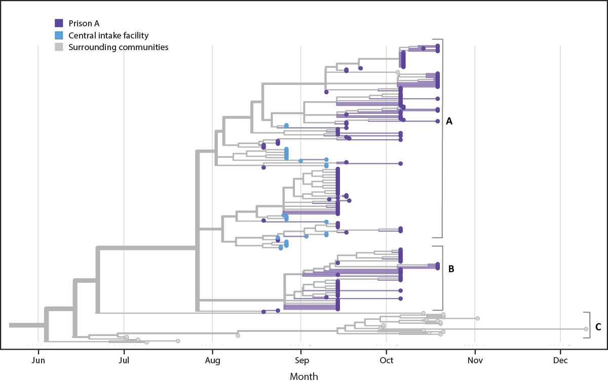 The figure is a phylogenetic tree showing genetic distance between available SARS-CoV-2 specimens from prison A, a central intake facility, and the surrounding communities in Wisconsin, during June&ndash;December 2020.