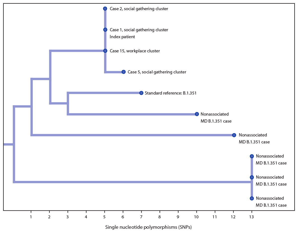The figure is a diagram of a phylogenetic tree of four investigation-associated B.1.351 lineage specimens and five other non&ndash;investigation-associated B.1.351 specimens sequenced during January&ndash;February 2021, from patients who were residents of Maryland.
