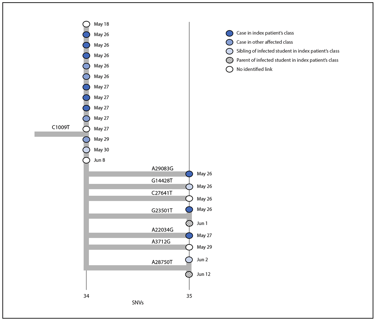 Figure is a phylogenetic tree of SARS-CoV-2 whole genome sequences and specimen collection dates from a COVID-19 outbreak in an elementary school in Marin County, California, during May&ndash;June 2021.