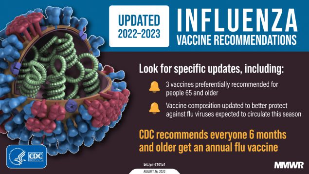 The figure is a graphic with an illustration of influenza virus with text about updated influenza vaccine recommendations for the 2022&mdash;2023 season. Updates include: 3 vaccines preferentially recommended for people 65 and older and vaccine composition updated to better protect against flu viruses expected to circulate this season. CDC recommends everyone 6 months and older get an annual flu vaccine.