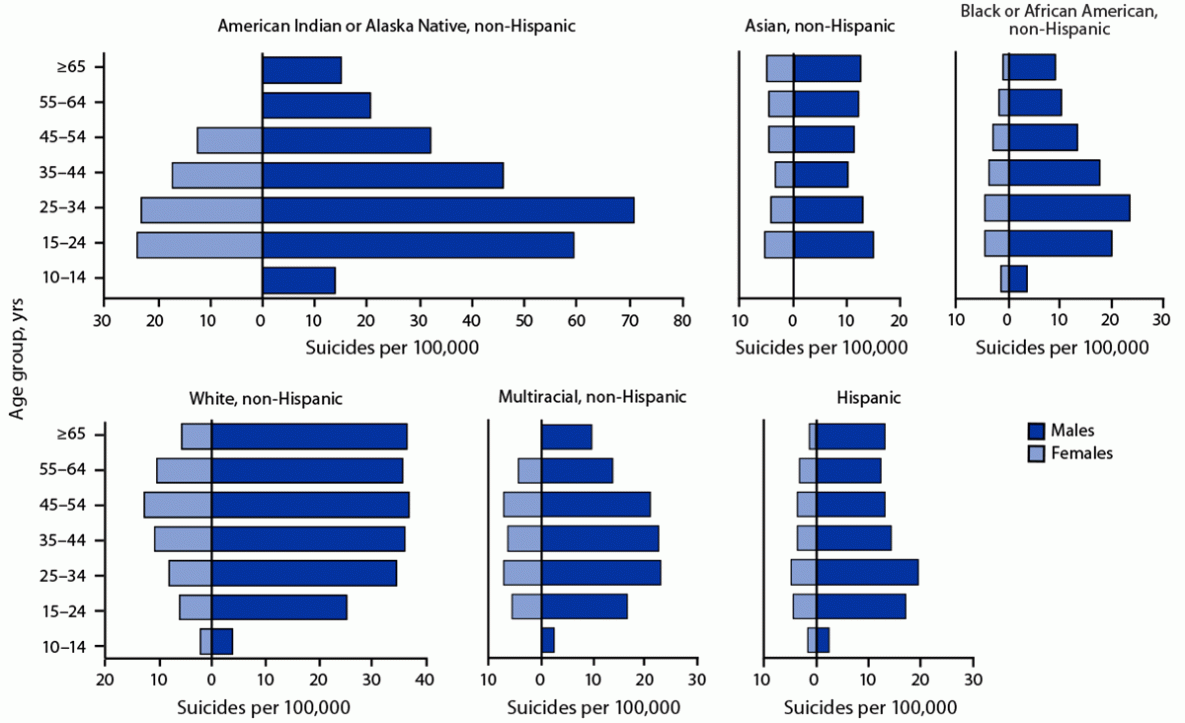 Figure shows the crude rate of suicide, stratified by race and ethnicity, sex, and age group in the United States during 2019&ndash;2020 with data from the National Vital Statistics System.