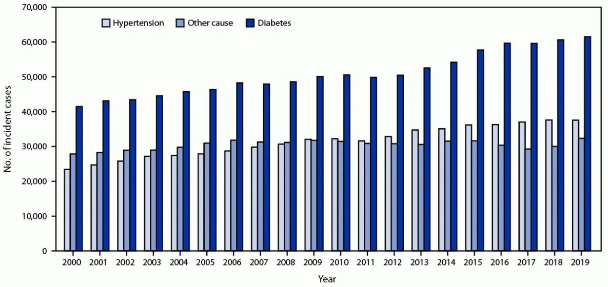 This figure is a histogram showing the number of reported incident cases of end-stage kidney disease by primary cause in the United States during 2000&ndash;2019.