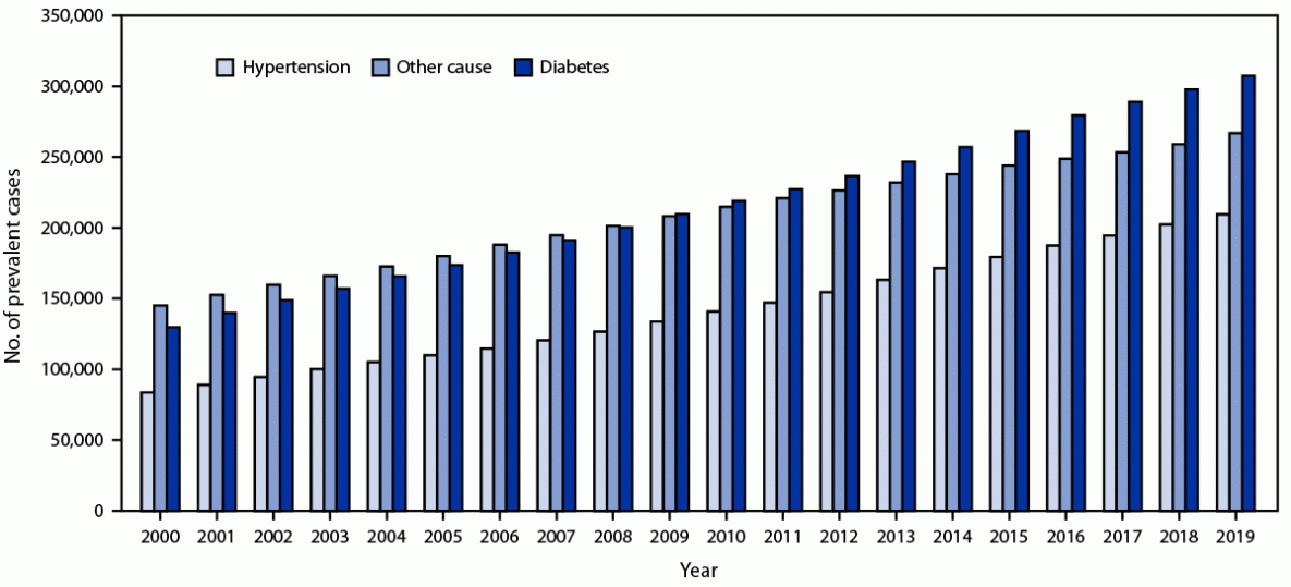 This figure is a histogram showing the number of reported prevalent cases of end-stage kidney disease by primary cause in the United States during 2000&ndash;2019.