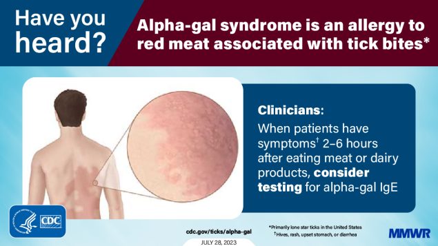 The figure is a graphic with an illustration of a rash on a person&rsquo;s back with text about alpha-gal syndrome.