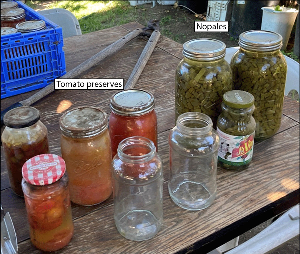 The figure is a photograph of three jars of home-canned prickly pear cactus pads (nopales) and four jars of tomato preserves with corroded lids in June 2024, from the Fresno County, California home of a patient with botulism who had canned these items.