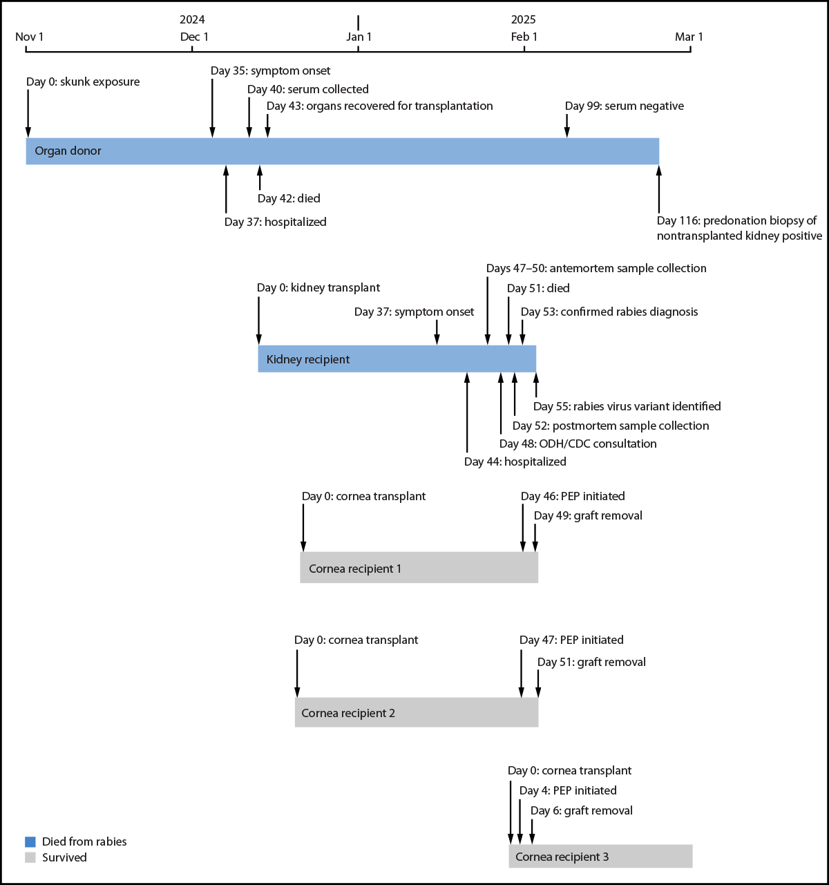 The figure is a timeline of clinical course, diagnostic testing, and investigation for a transplant-associated rabies case in the United States during February 2025.