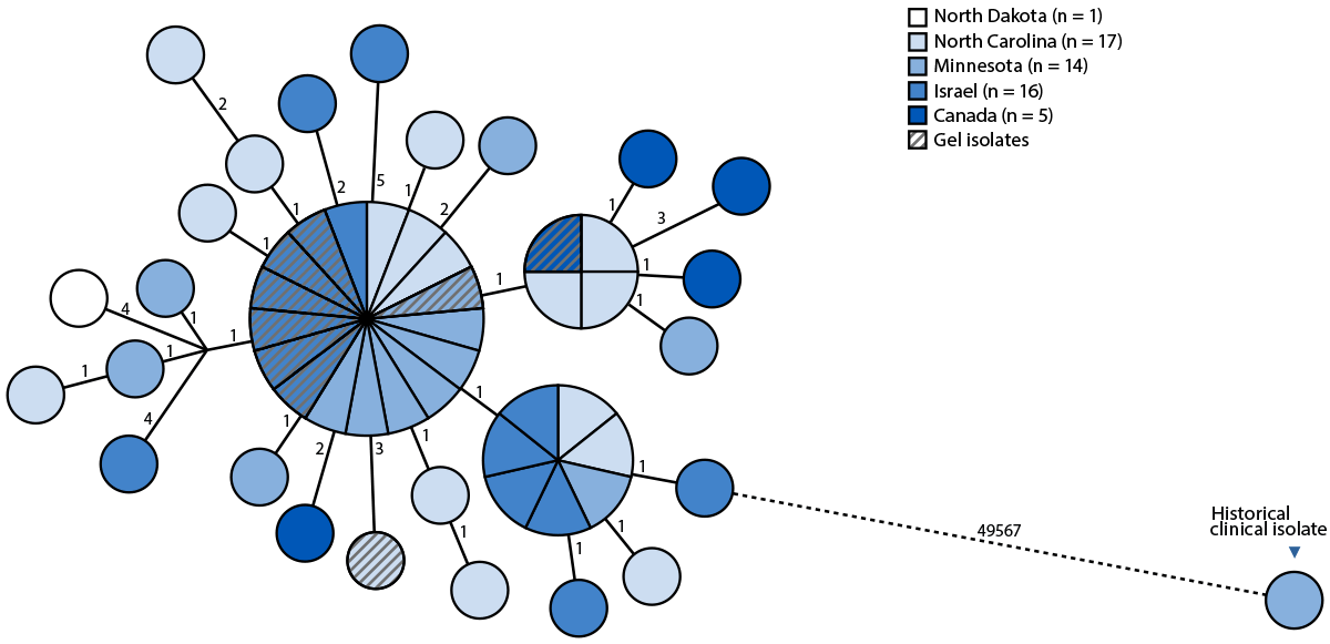 The figure is a bar graph illustrating the number of patients with genetically linked Paraburkholderia spp. isolated from clinical cultures, by date of initial specimen collection in Minnesota, North Carolina, North Dakota, Canada, and Israel during May 2023&ndash;April 2025.