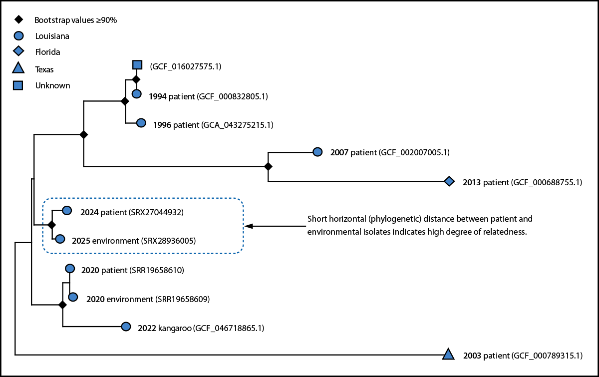 Welder’s Anthrax Treated with Obiltoxaximab — Louisiana, 2024 The figure is depicting a subpanel maximum likelihood phylogenetic tree indicating genetic distances among Bacillus tropicus isolates from patients with welder’s anthrax, a zoo animal, and the environment in the United States during 1994–2025.