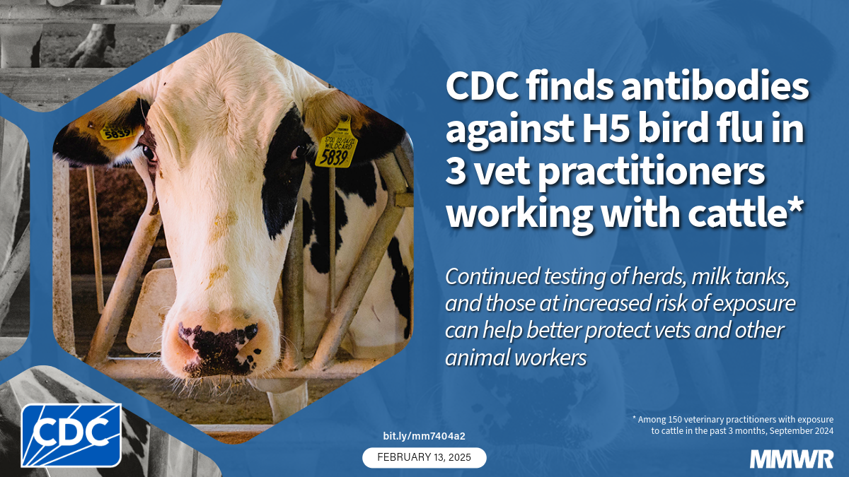 Notes from the Field: Seroprevalence of Highly Pathogenic Avian Influenza A H5 Virus Infections Among Bovine Veterinary Practitioners — United States, September 2024 The image shows a cow on a farm with text that reads, CDC finds antibodies against H5 bird flu in 3 vet ...