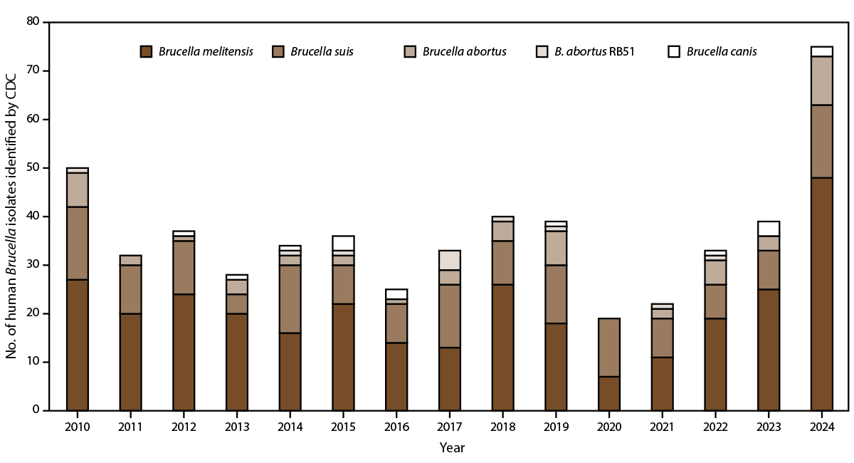 The figure is a stacked bar chart of the human Brucella species identified by CDC, by year, in the United States during 2010&ndash;2024.