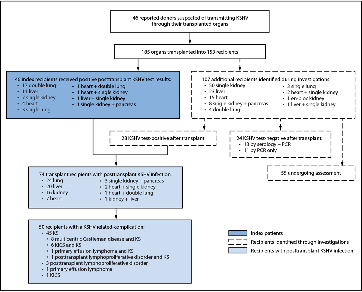 The figure a flowchart describing reports of organ donor&ndash;derived Kaposi sarcoma&ndash;associated herpesvirus among 46 transplant recipients and investigation of additional recipients in the United States during January 2021&ndash;September 2025.