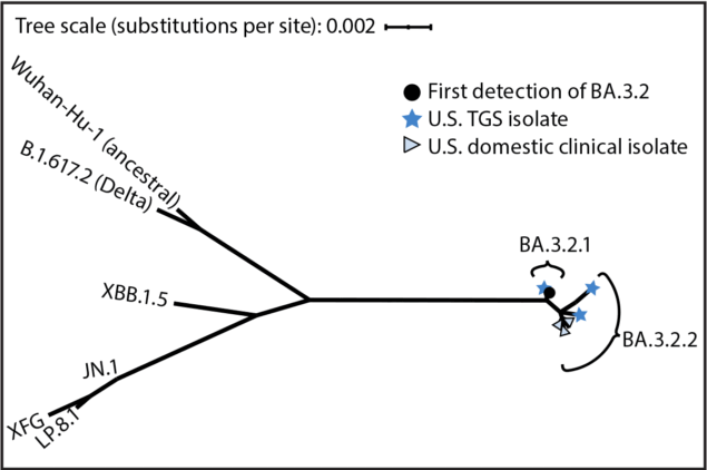 Early Detection and Surveillance of the SARS-CoV-2 Variant BA.3.2 — Worldwide, November 2024–February 2026 The figure is a phylogenetic tree of the SARS-CoV-2 spike glycoprotein gene from selected U.S. and global BA.3.2 isolates and reference strains during 2020–2026.