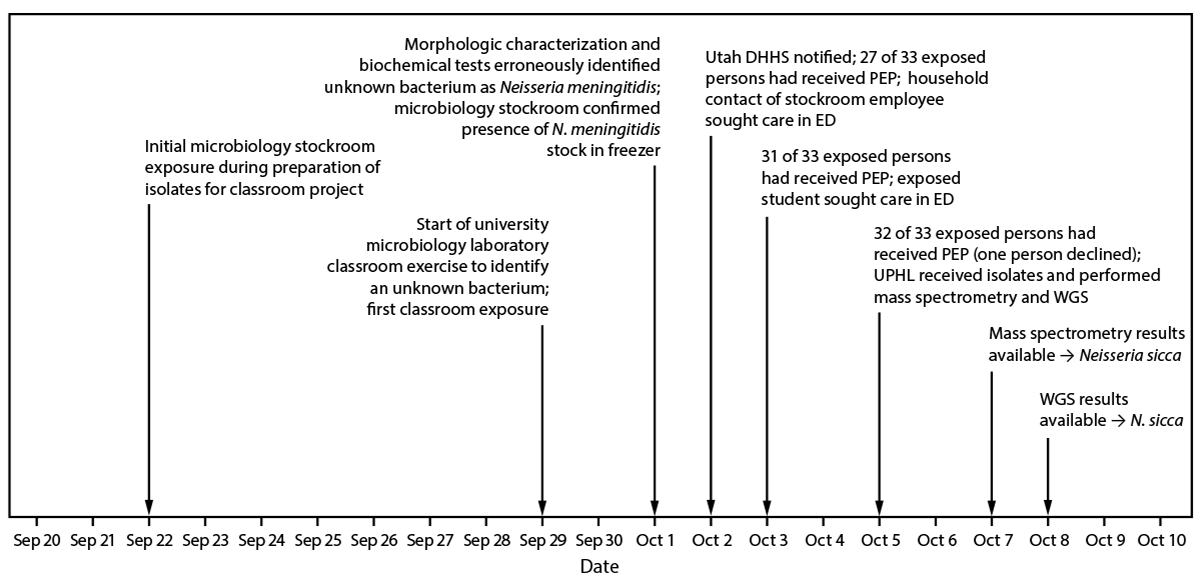 Notes from the Field: Misidentification of a Specimen as Neisseria meningitidis During a University Classroom Laboratory Exercise — Utah, 2025 The figure is a timeline of potential Neisseria meningitidis in a Utah classroom laboratory exposure and response during September–October 2025.