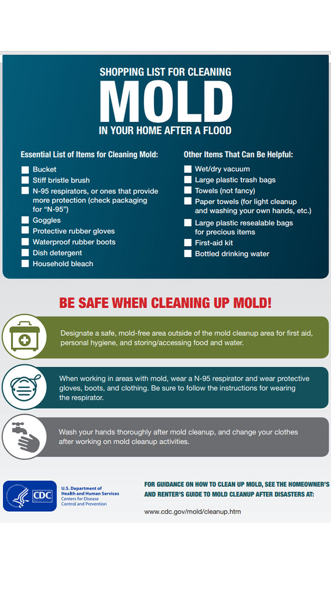Shopping list for post-flooding mold cleanup Shopping list for post-flooding mold cleanup