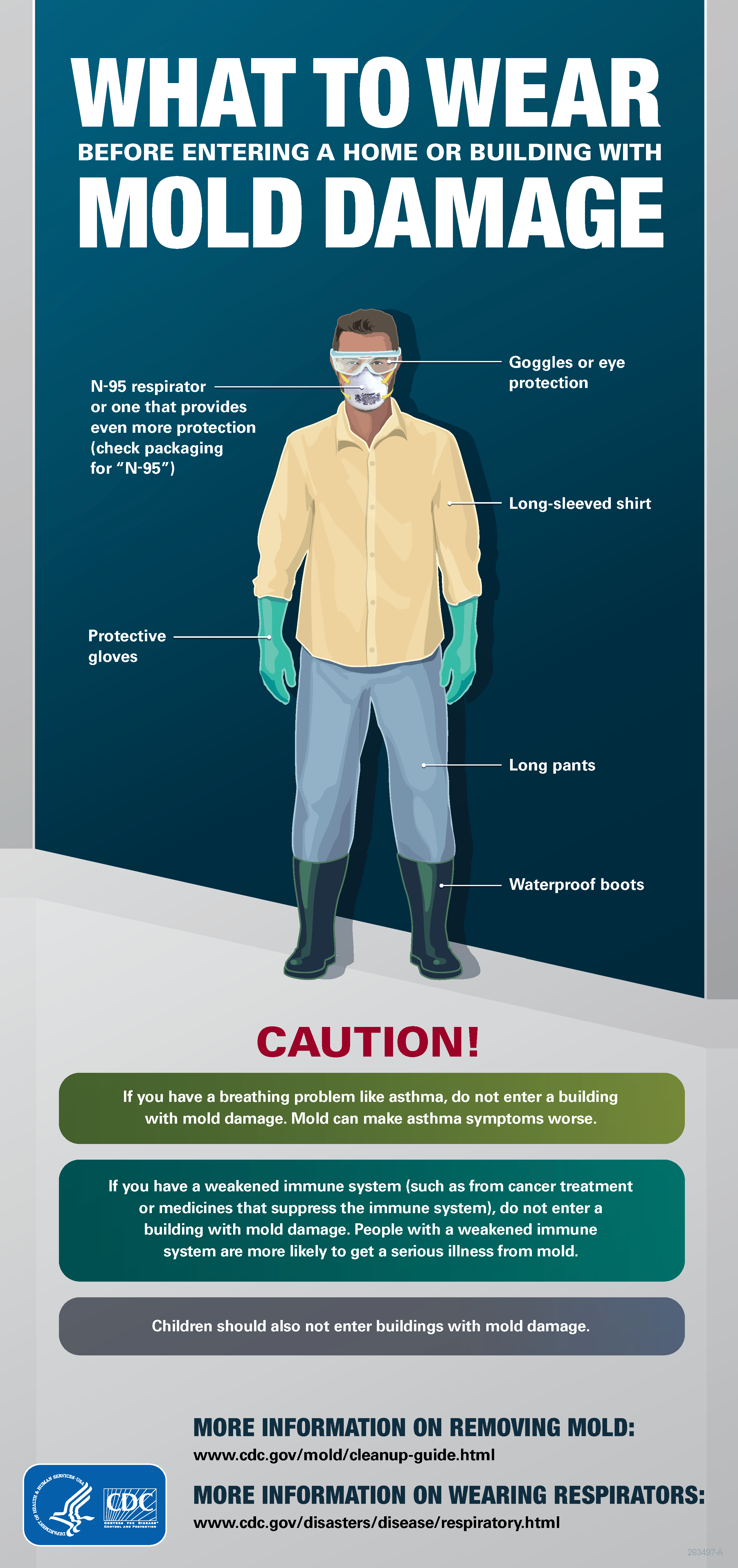 What to wear when cleaning mold Cover page for what to wear when cleaning mold.