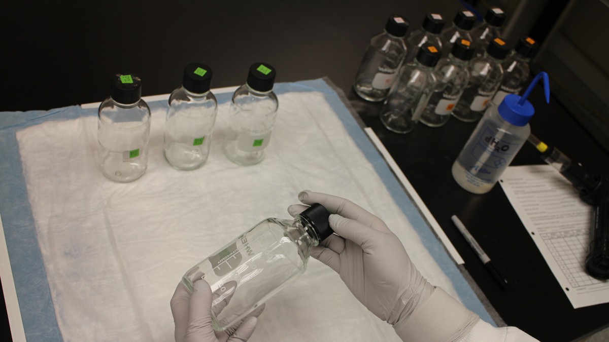 The CDC bottle bioassay measures insecticide resistance in mosquitoes.