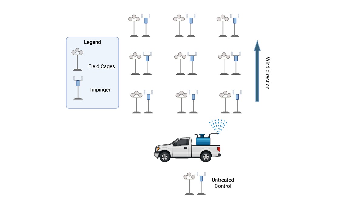 Field cage trials evaluate effectiveness of insecticide products in real-world conditions.