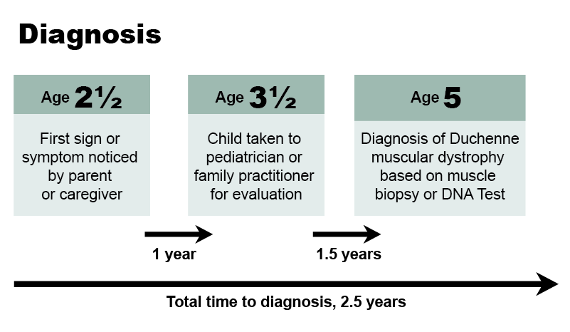 Chart showing the time to diagnosis for Duchenne muscular dystrophy is about 2.5 years.