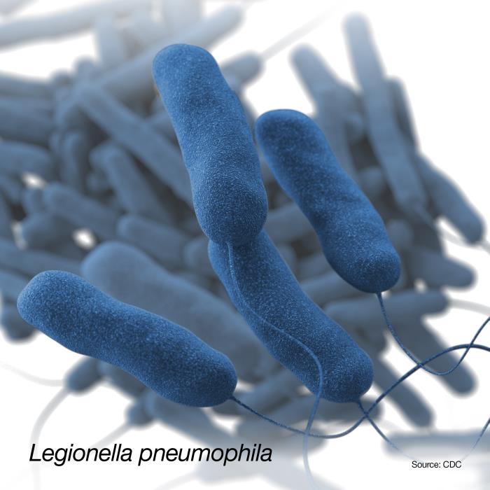phapproach03 Bacteria