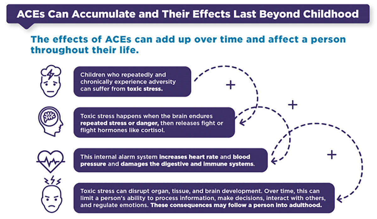 ACEs can accumulate and last beyond childhood. Children who repeatedly experience adversity can suffer from toxic stress. When toxic stress occurs, the brain releases fight or flight hormones like cortisol. This increases heart rate and blood pressure and damages the digestive and immune systems. Toxic stress can disrupt organ, tissue, and brain development. This can limit a person&rsquo;s ability to process information, make decisions, interact with others, and regulate emotion. These consequences may follow a person into adulthood.
