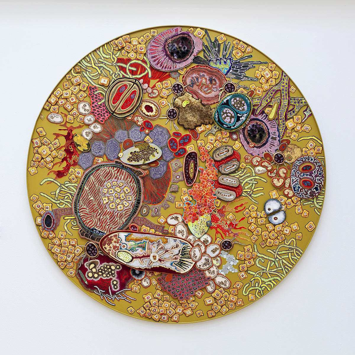 Collisions exhibit